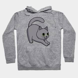 Grey cat Hoodie